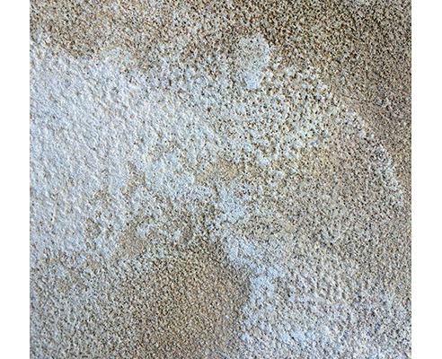 Sandstone decorative plaster finish