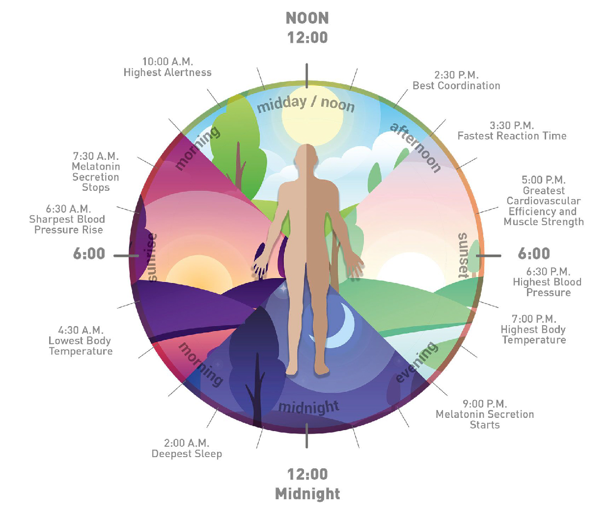 Human Centric Lighting for Better Circadian Rhythm