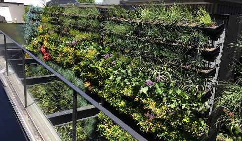 Inner City Green Wall from KHD Landscape Engineering Solutions