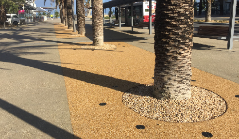 Permeable Tree Pits for Scarborough Beach from MPS Paving