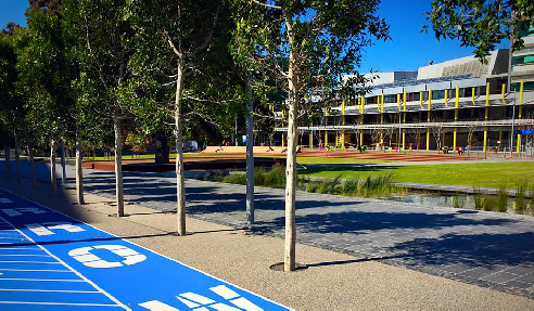 Tree Surrounds for Darling Harbour from StoneSet