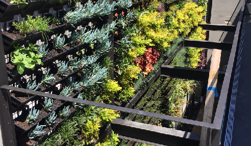 KHD Inner City Green Wall Landscape 