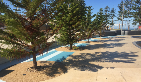Permeable Tree Pits for Scarborough Square