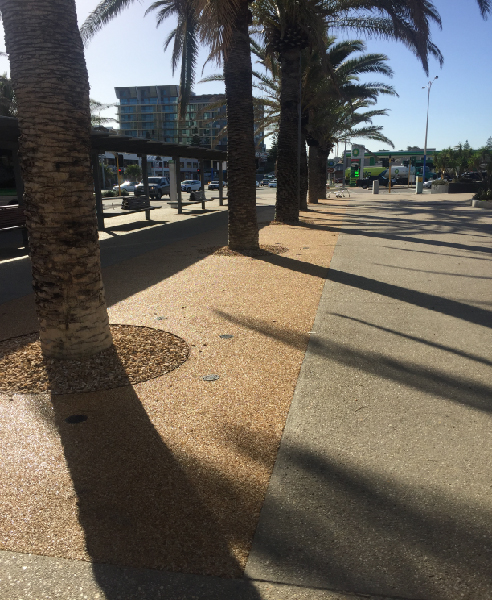 Permeable Tree Pits for Coastal Conditions