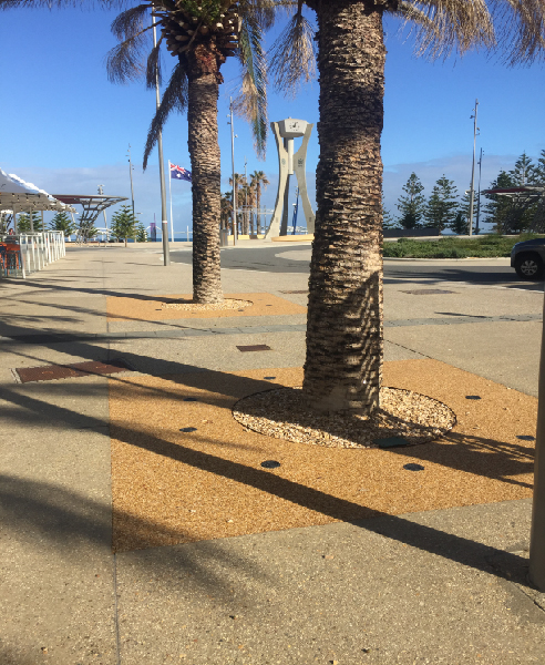Permeable Tree Pits for Recreation Facilities