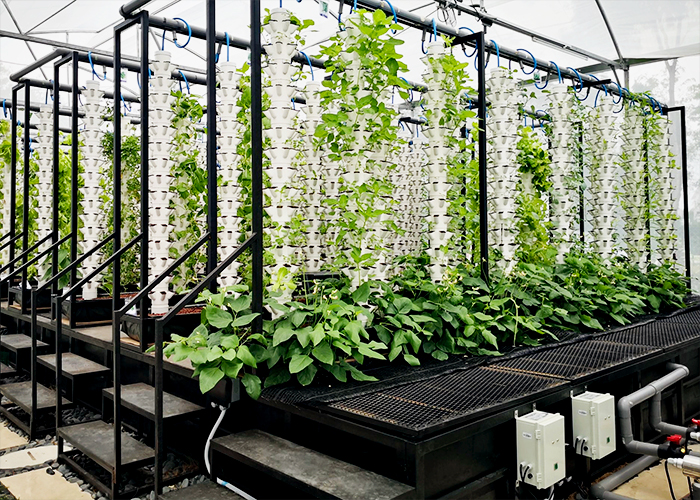 Revolutionary Filters & Pumps for Urban Farming from Waterco