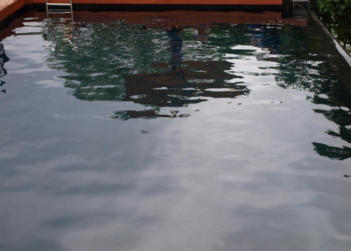 Swimming Pools Painted Black with Hitchins Technologies