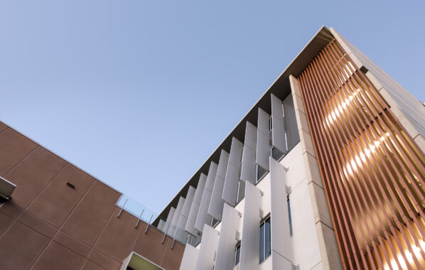 Vertical Battens with Timber Grain Finish for Gold Coast Hospital by Louvreclad