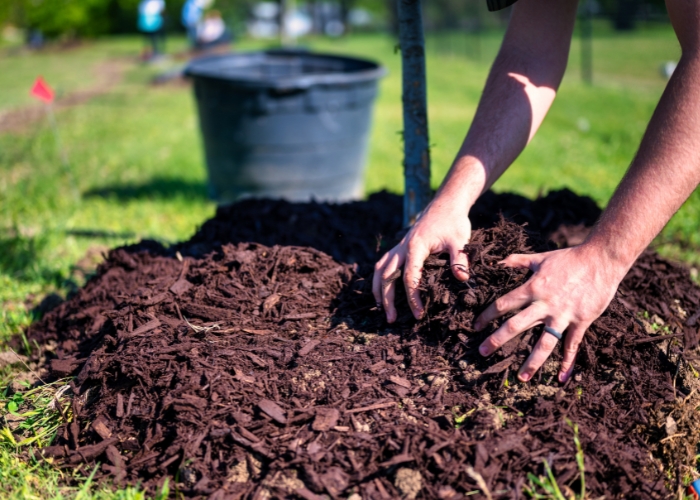 Organic Soils and Mulch for Landscaping from The Neilsen Group