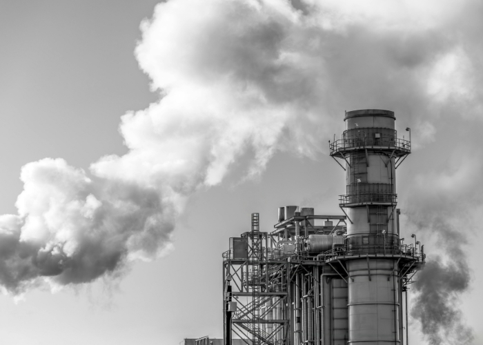 Non-Combustible Insulation for High Temperature Equipment by Bellis