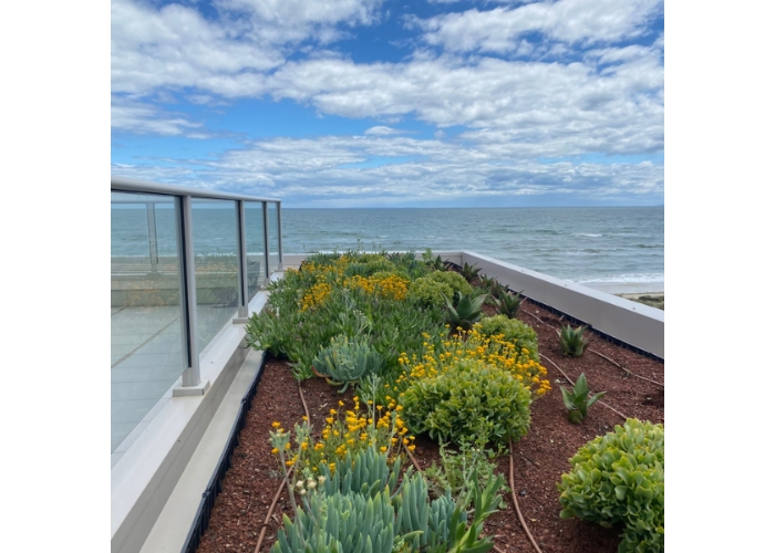 Advantages of Green Roof Systems by KHD