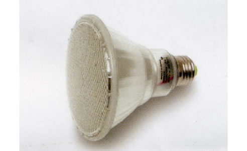 led globe