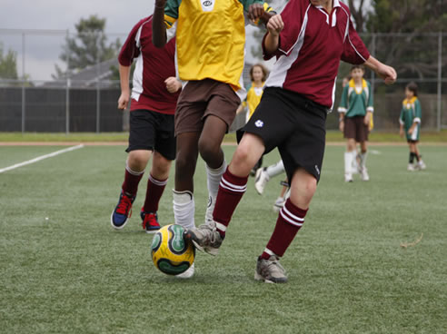 synthetic grass sports surface