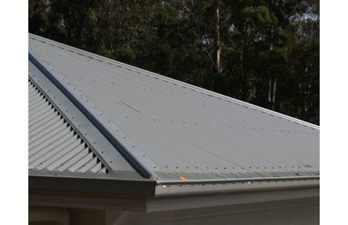 gutter mesh