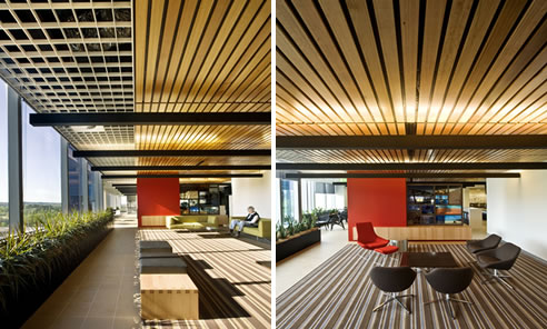 supawood ceiling panels in office