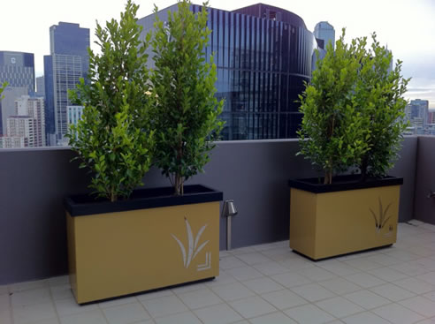 rooftop planter boxes