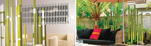 bamboo feature outdoor