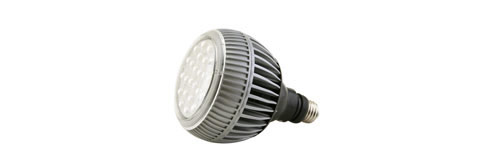 led light beelux