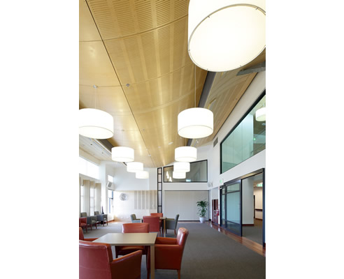 acoustic panelling