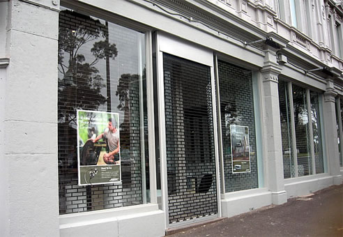 roller security grille