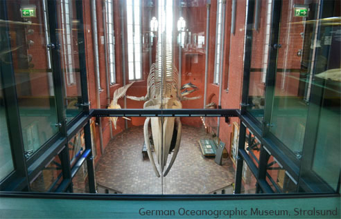 large glass panels in museum