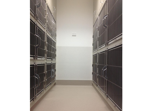 rspca kennels