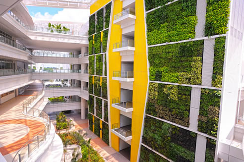 multi level green wall