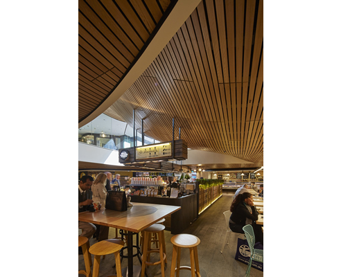 curved timber ceiling