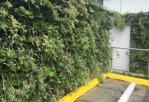 versiwall vertical gardens carpark