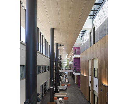 timber acoustic panels hospital atrium