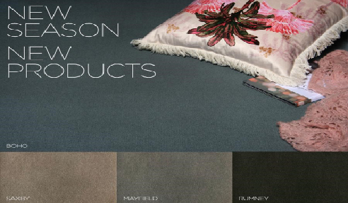 New Designer Coloured Carpet Range from Prestige Carpets