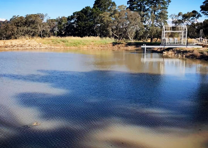 Dam Cleaning for Stock Properties with Bio Natural Solutions