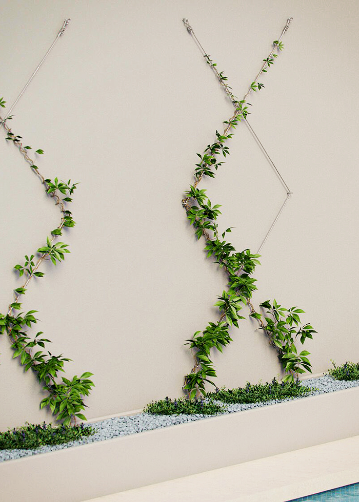 Green Walls Using Jaw Swage Bottlescrews by Miami Stainless