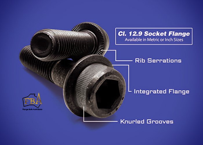 Class 12.9 Socket Flange Screws from The WDS Group
