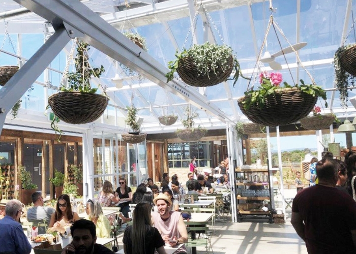 Evaporative Mist Cooling for Restaurants by Celmec