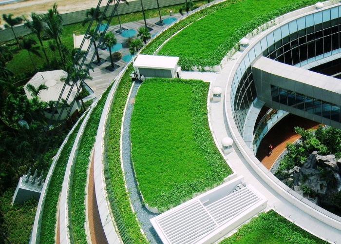 Benefits of Green Roofs for Buildings by Elmich
