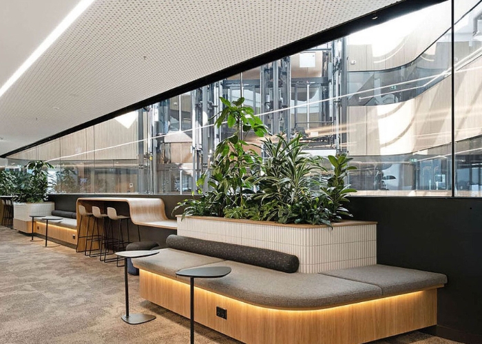 Decorative MDF Panels for Deloitte Canberra Office from Keystone Linings