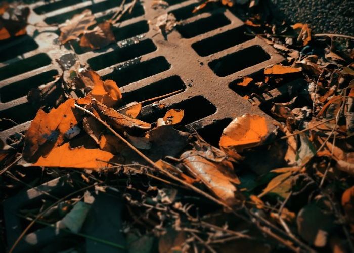 Leaf Guard for Drainage System by RELN