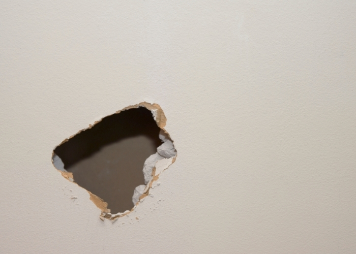 Repair Patch for Walls and Ceilings by Altamonte