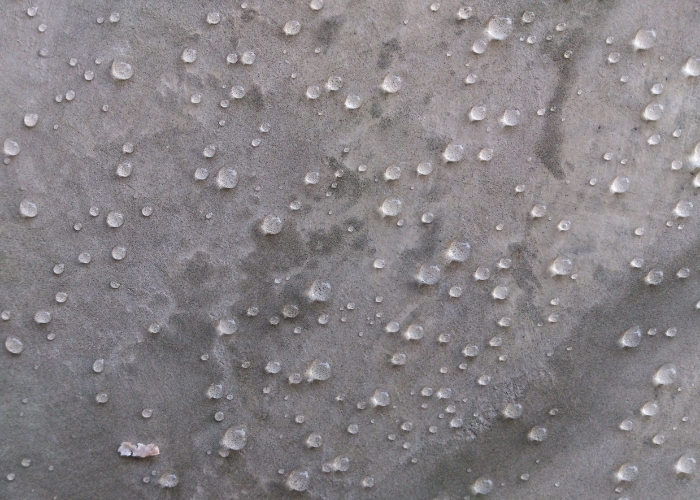 Weather Resistant Concrete Coating by Radcrete