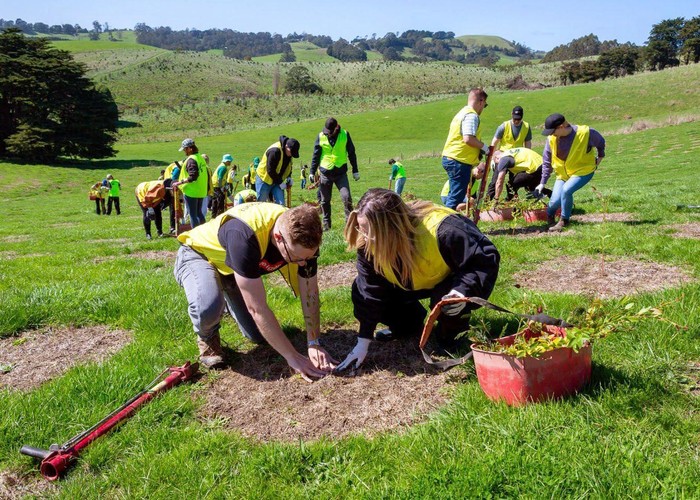 Getting Our Hands Dirty for Climate Action