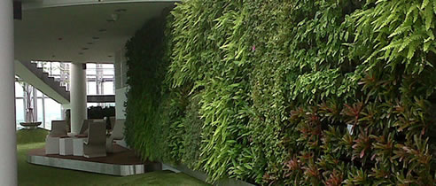 green vertical plant wall