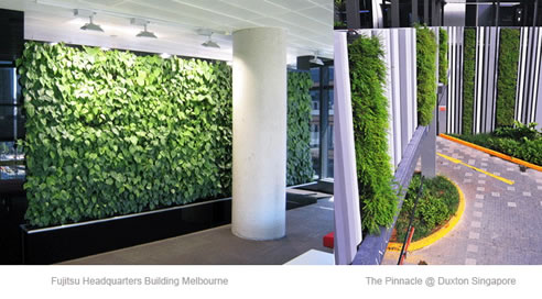 green plant walls