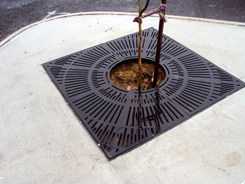 cast iron tree grate