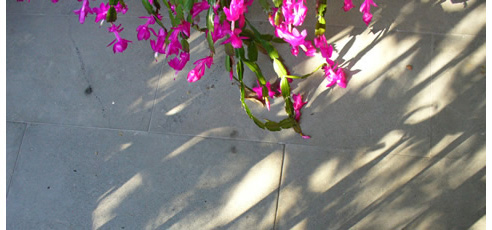 basalt stone tiles