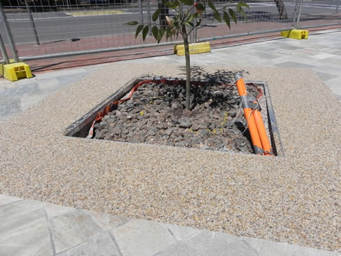 tree base paving