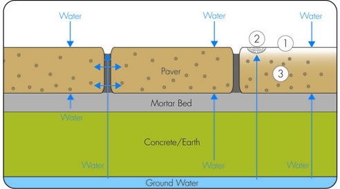 efflorescence cause diagram