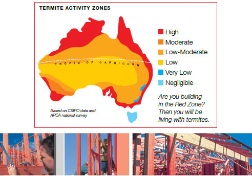 australian termite activity zones