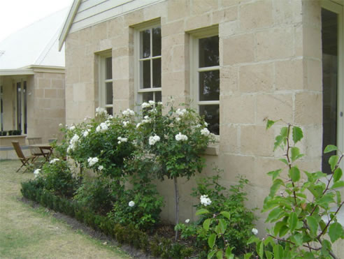 western australian biscuit limestone