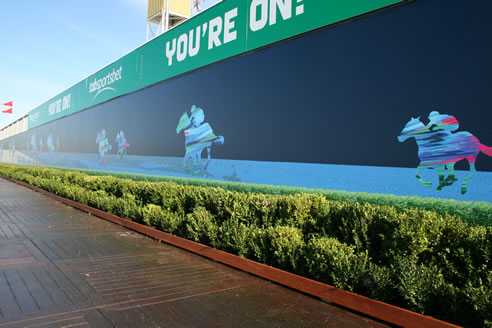 printed hoarding at randwick